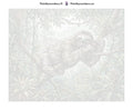Thumbnail for Paint by numbers numbered canvas - Sloth on Tree Branch 50x40cm
