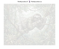 Thumbnail for Paint by numbers numbered canvas - Sloth on Tree Branch 50x40cm