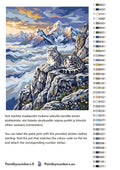 Thumbnail for Paint color chart and instructions - Snow Leopard on Cliff 40x50cm