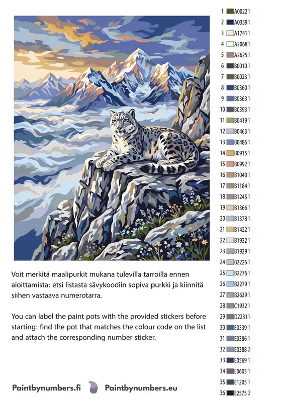 Paint color chart and instructions - Snow Leopard on Cliff 40x50cm