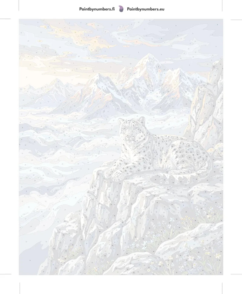 Paint by numbers numbered canvas - Snow Leopard on Cliff 40x50cm