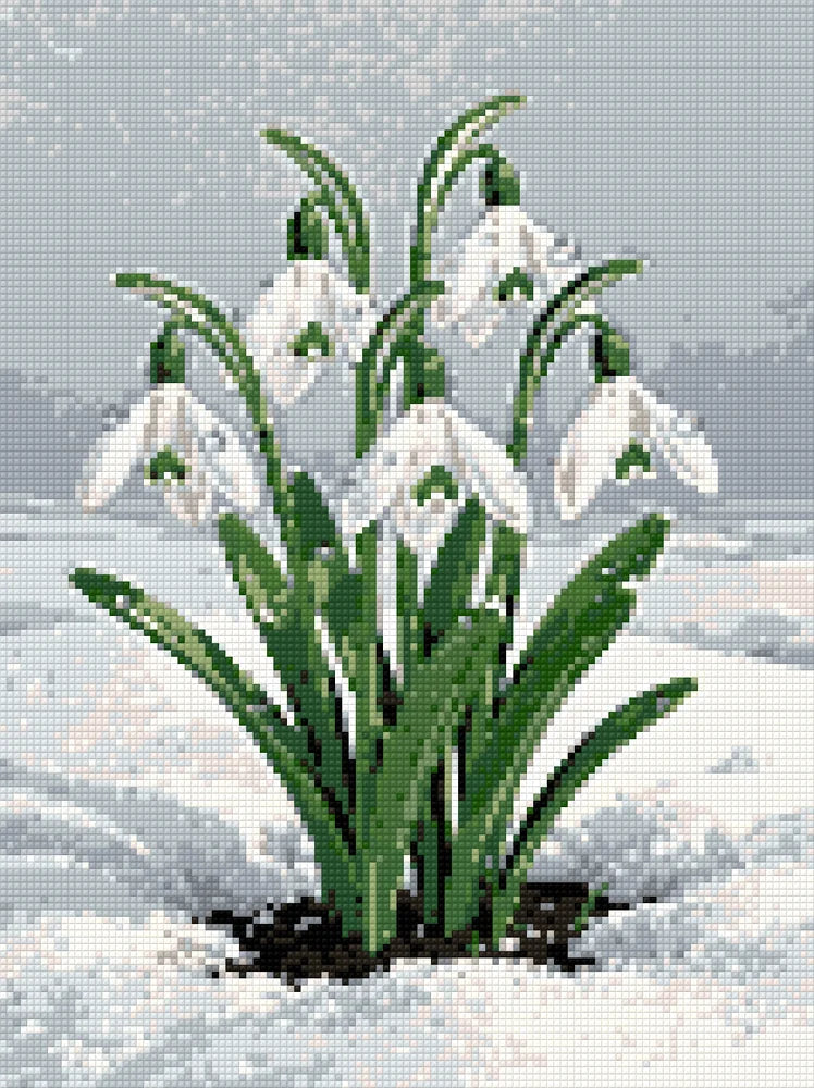 Diamond Pattern - Snowdrop Blossoms