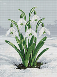 Thumbnail for Diamond Pattern - Snowdrop Blossoms