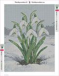 Thumbnail for Snowdrop Blossoms diamond painting adhesive canvas 30x40cm