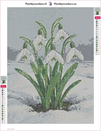 Thumbnail for Snowdrop Blossoms diamond painting adhesive canvas 30x40cm