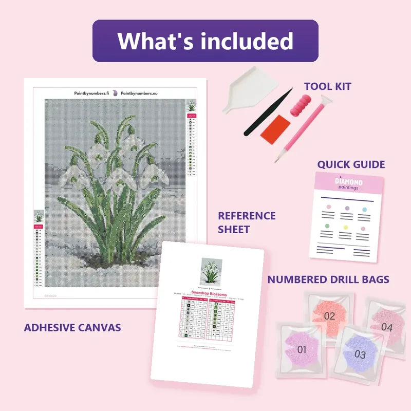 Snowdrop Blossoms 30x40cm diamond painting kit contents: adhesive canvas, color chart, tools and diamond bags