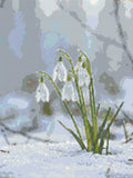 Thumbnail for Diamond pattern - Snowdrops