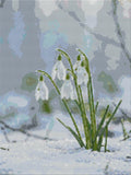 Thumbnail for Diamond pattern - Snowdrops