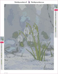 Thumbnail for Snowdrops diamond painting adhesive canvas 30x40cm