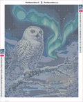 Thumbnail for Snowy Owl diamond painting adhesive canvas 40x50cm