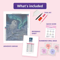 Thumbnail for Snowy Owl 40x50cm diamond painting kit contents: adhesive canvas, color chart, tools and diamond bags