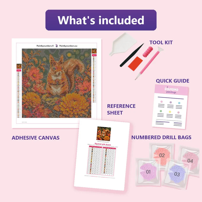 What is included in the Squirrel with Acorn diamond painting kit - adhesive canvas, reference sheet, tools and numbered drill bags
