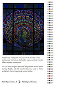 Thumbnail for Color chart and instructions - Stained Glass Peacock 40x50cm