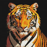 Thumbnail for Diamond Pattern - Staring Tiger
