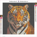 Thumbnail for Staring Tiger diamond painting adhesive canvas 30x30cm