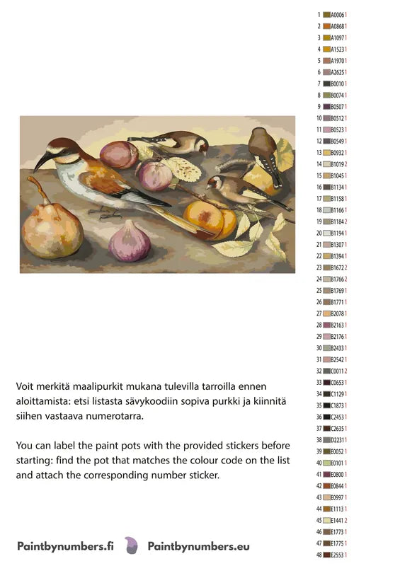 Paint color chart and instructions - Still Life with Birds and Fruit 70x40cm