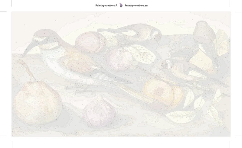 Paint by numbers numbered canvas - Still Life with Birds and Fruit 70x40cm