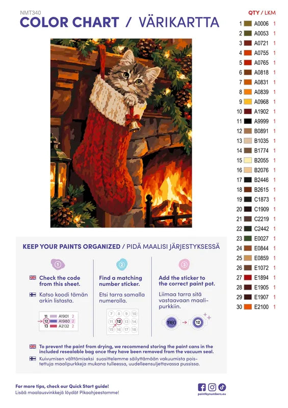 Paint color chart and instructions - Stocking Surprise 30x40cm