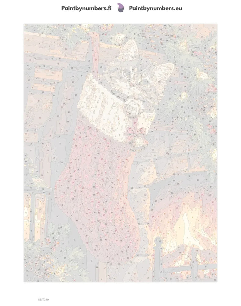 Paint by numbers numbered canvas - Stocking Surprise 30x40cm