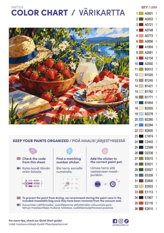 Färgkarta och instruktioner för Strawberry Picnic