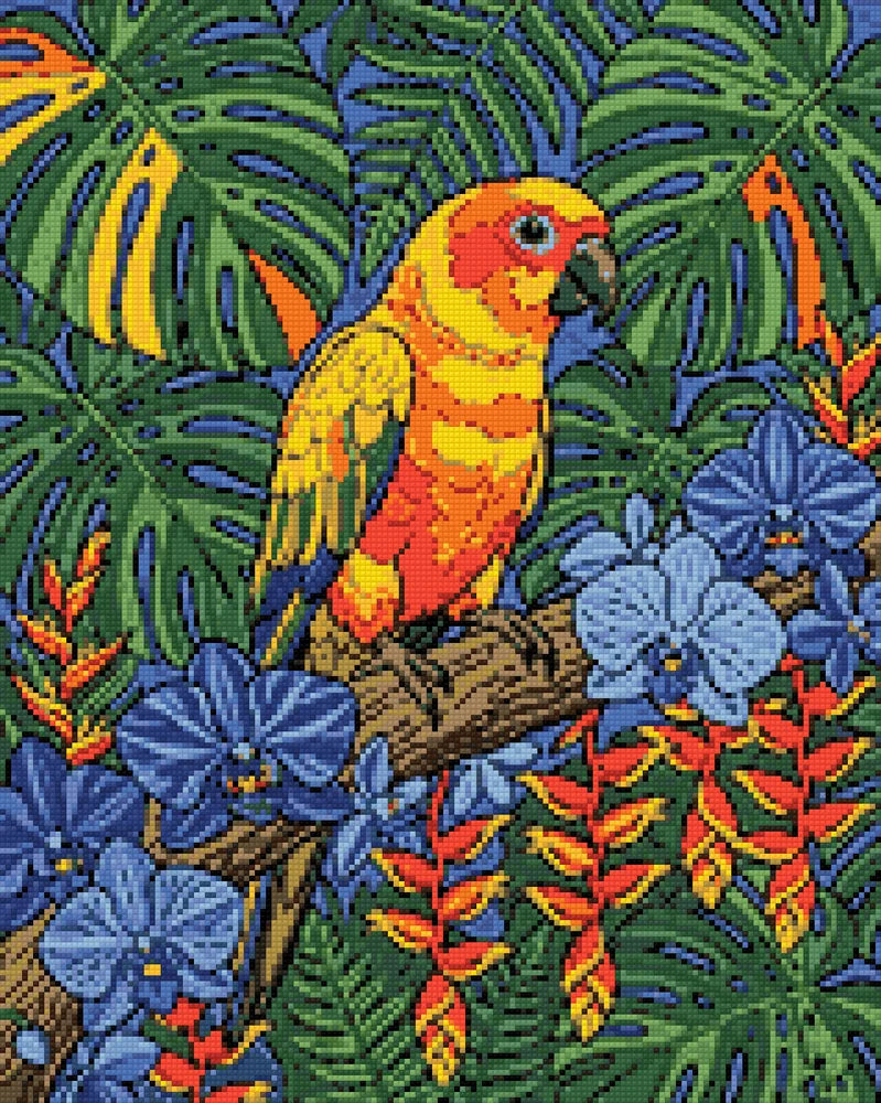 Diamantmönster för Sun Conure