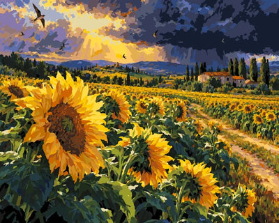 Sunflower field and farmhouse paint by numbers, bright yellow flowers and dramatic sky.