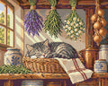Miniatyrbild: Randig katt som sover i korg under torkande örter och lök i ett solbelyst lantkök