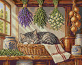 Thumbnail for tabby cat sleeping among drying herbs in a pantry, 50x40 cm diamond painting – full design preview
