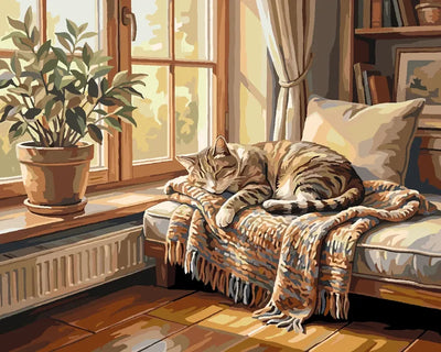 Tabby cat on a blanket by the window paint by numbers.