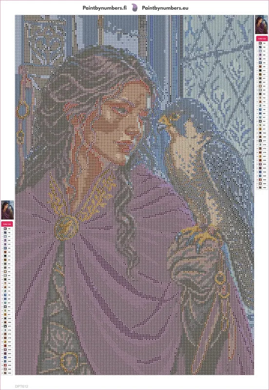 Diamond painting adhesive canvas preview - The Falconer at the Frosted Window