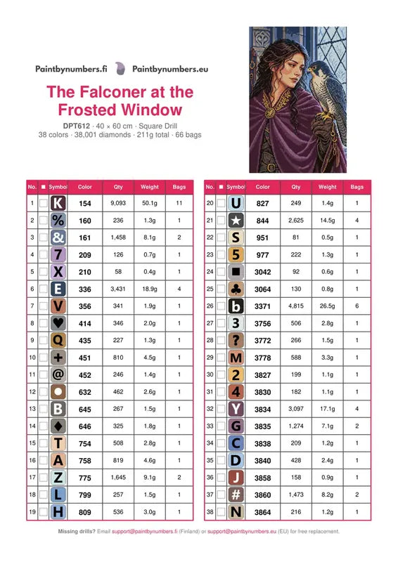 DMC color chart for The Falconer at the Frosted Window diamond painting - 38 colors
