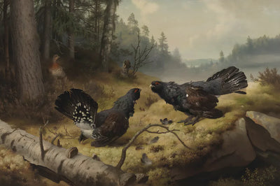 The Fighting Capercaillies by Ferdinand von Wright, 60x40 cm diamond painting – original artwork the design is made from