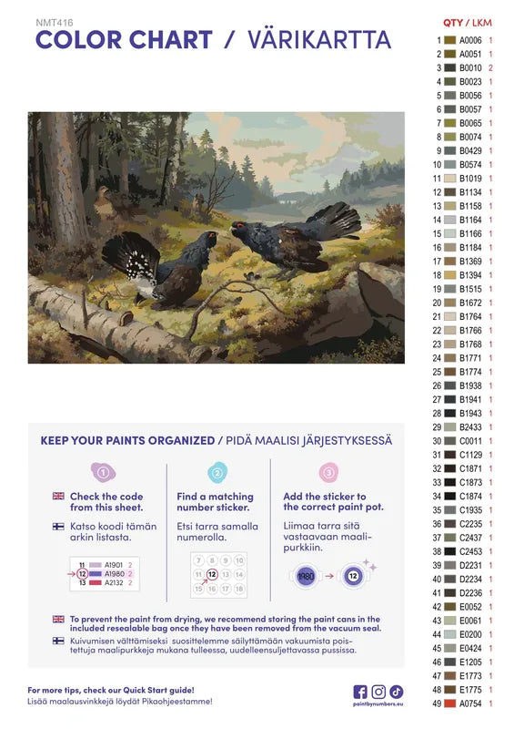 Paint color chart and instructions - The Fighting Capercaillies 60x40cm