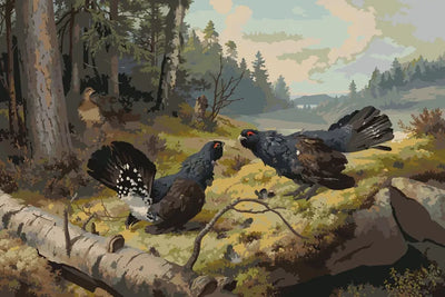 Paint by numbers of Ferdinand von Wright's The Fighting Capercaillies, two capercaillies facing off in a forest clearing.
