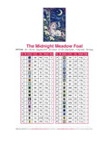 Thumbnail for DMC color chart for The Midnight Meadow Foal diamond painting - 36 colors