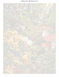 Thumbnail for Paint by numbers numbered canvas - The Mushroom Kingdom Floor 60x80cm
