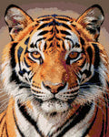 Thumbnail for Diamond pattern - Tiger Diamond Painting