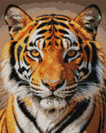 Thumbnail for Diamond pattern - Tiger Diamond Painting