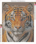 Thumbnail for Tiger Portrait diamond painting adhesive canvas 40x50cm