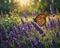 Thumbnail for Timanttimaalaus laventelipellosta ja oranssista perhosesta aamuauringossa.