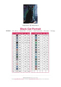 Thumbnail for Black Cat Portrait timanttimaalauksen värikartta – 31 DMC-väriä