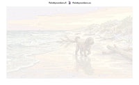 Thumbnail for Numeroitu kangas - Dog on Beach 70x40cm
