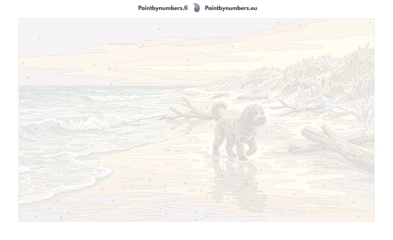 Numeroitu kangas - Dog on Beach 70x40cm