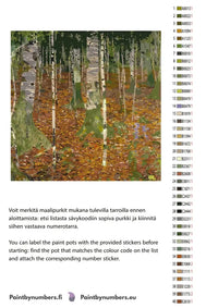 Thumbnail for Paint by numbers color chart - Birch Forest - väriluettelo ja ohjeet