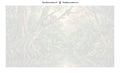Thumbnail for Numbered canvas - Sloth in Rainforest 70x40cm