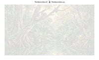 Thumbnail for Numbered canvas - Sloth in Rainforest 70x40cm