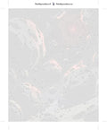 Thumbnail for Asteroidit avaruus numeromaalaus pakkaus