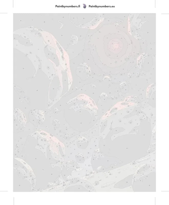 Asteroidit avaruus numeromaalaus pakkaus