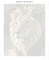 Thumbnail for Paint by numbers canvas - Lion Portrait