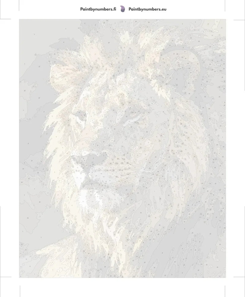 Paint by numbers canvas - Lion Portrait